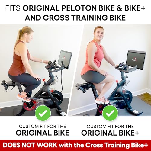 Dual Bike Fans with All Metal Phone Holder for Indoor Cycling